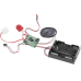 Digitaler Voice-Recorder - Baustein