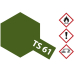 TS-61 Nato-Grün