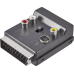 Scart-Cinch- Adapter