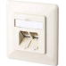 Btr Cat 6A Ral 1013up-Netzwerkdose