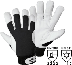 Griffy 1707 Winter-Montagehandschuh Innenhand: Nappaleder; Handrücken: Elasthan Größe 8 Griffy 1707 Winter-Montagehandschuh Innenhand: Nappaleder; Handrücken: Elasthan Größe 8