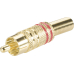 Cinch-Stecker Rt Ring Komplett Gold 6mm
