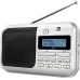 Dual DAB 4 DAB+ Kofferradio, Silber
