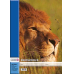 Landre Zeichenbl A3 390302004 Tiermotive
