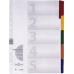 Pagna Register Karton 31000-08 5-teilig