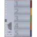 Pagna Kartonregister 32000-20 5-teilig
