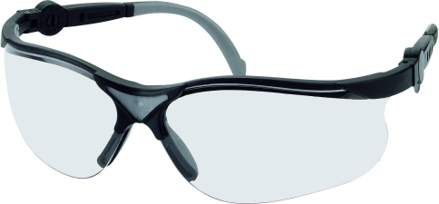 Leipold + Döhle Style Black Schutzbrille 2671 Polycarbonat-Sichtscheiben, Kusntstoffrahmen EN 166F Leipold + Döhle Style Black Schutzbrille 2671 Polycarbonat-Sichtscheiben, Kusntstoffrahmen EN 166F