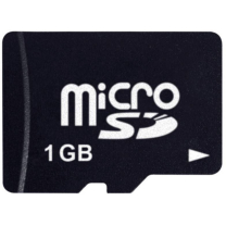 Platinum Micro Sd Karte 1GB