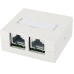 Telegärtner 2port Netzwerkd. Ap Ral9010