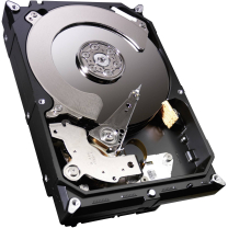 Seagate 500GB Bulk 3,5  St500dm005