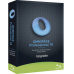 Nuance Omnipage Professional V18 Upgrade