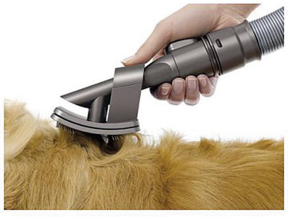 Dyson StaubsaugerDüse 92100001 voelkner direkt günstiger ~ Dyson StaubsaugerDüse 92100001 voelkner direkt günstiger ~ Staubsauger Düse