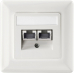 Setec Cat 6 Ral9010 Up-Netzwerkdose