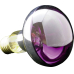 Glühlampe E27 60W 230V Violett R80