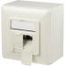 Digitus Cat 6 Ral1013 Ap-Netzwerkdose