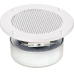 Wand- und Deckenlautsprecher Dl-1117, 8 Ohm