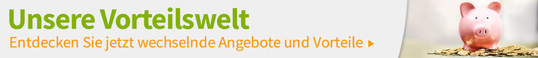 Voelkner Gutscheincode einlösen